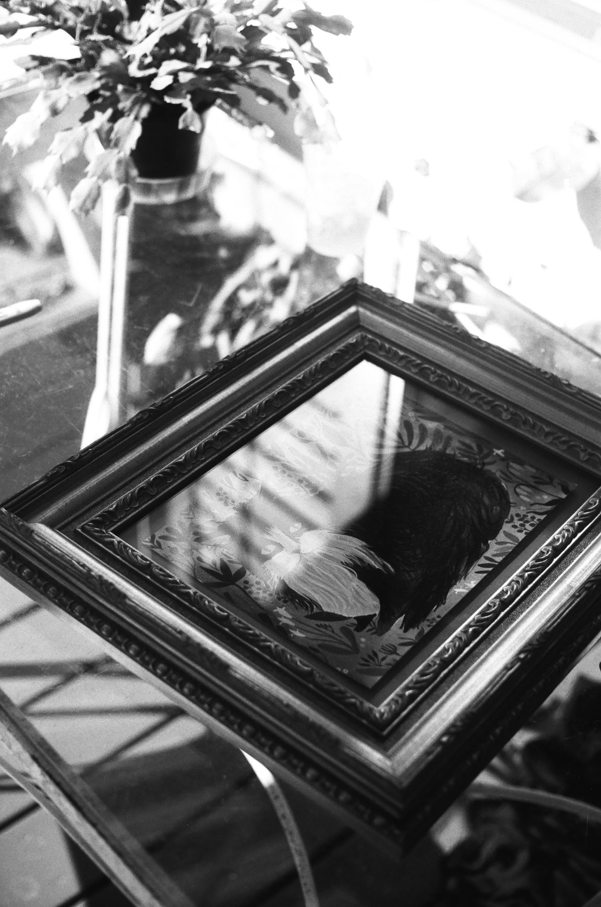 Cookie Barry Baum photo 20 of 21
